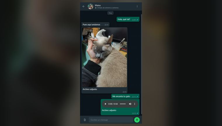 La misma conversación de Private Chat en la app Android, con imagen y nota de voz